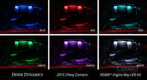 Rgbw Multicolor Engine Bay Led Kit Light