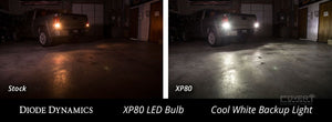 Led Brake Lights & Reverse Light