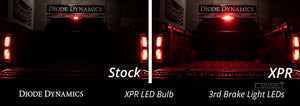 Xpr Led Reverse Lights Light